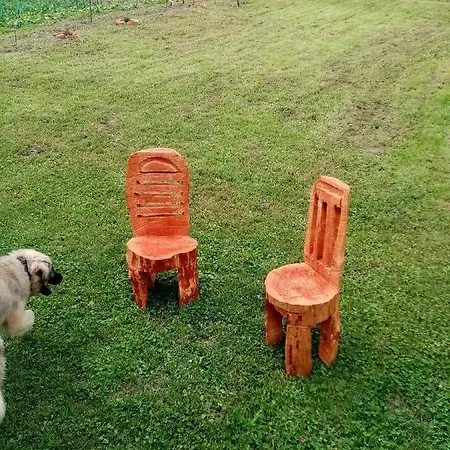 Vikendica Petkovic Crvica