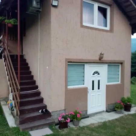 Vikendica Petkovic Holiday home *