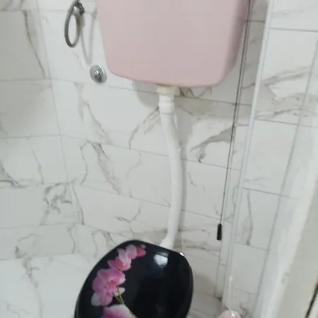 Vikendica Petkovic Crvica