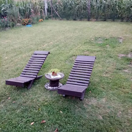 Vikendica Petkovic Holiday home